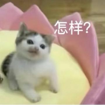 ✌️这里不好玩我去隔壁玩两天✌️