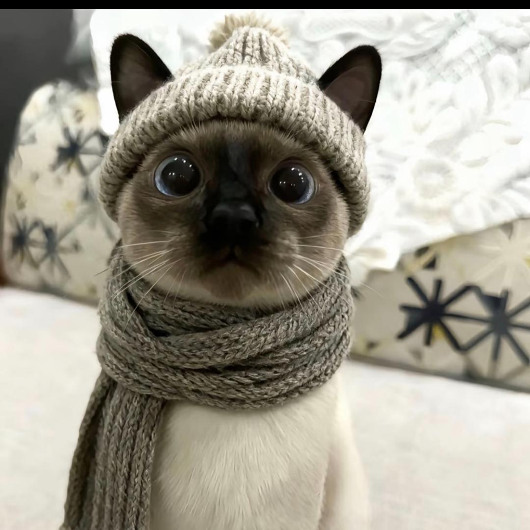 来自旼王星……