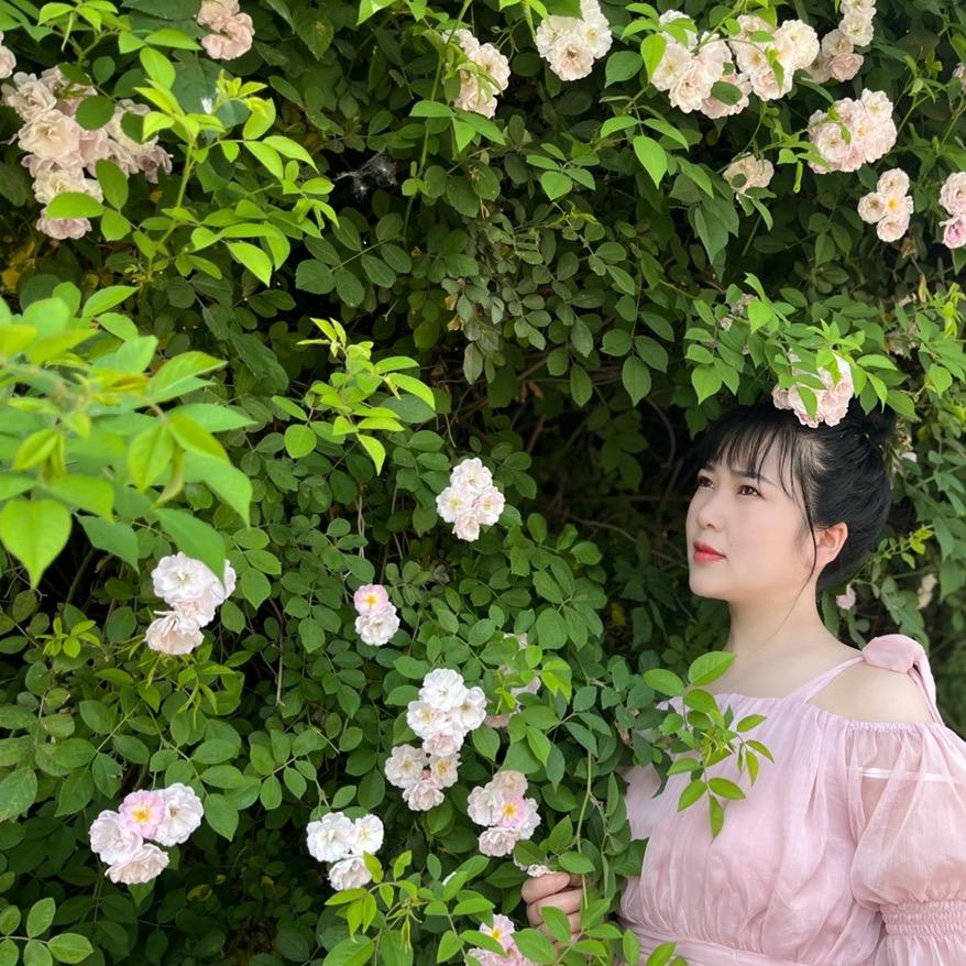 我的甜心