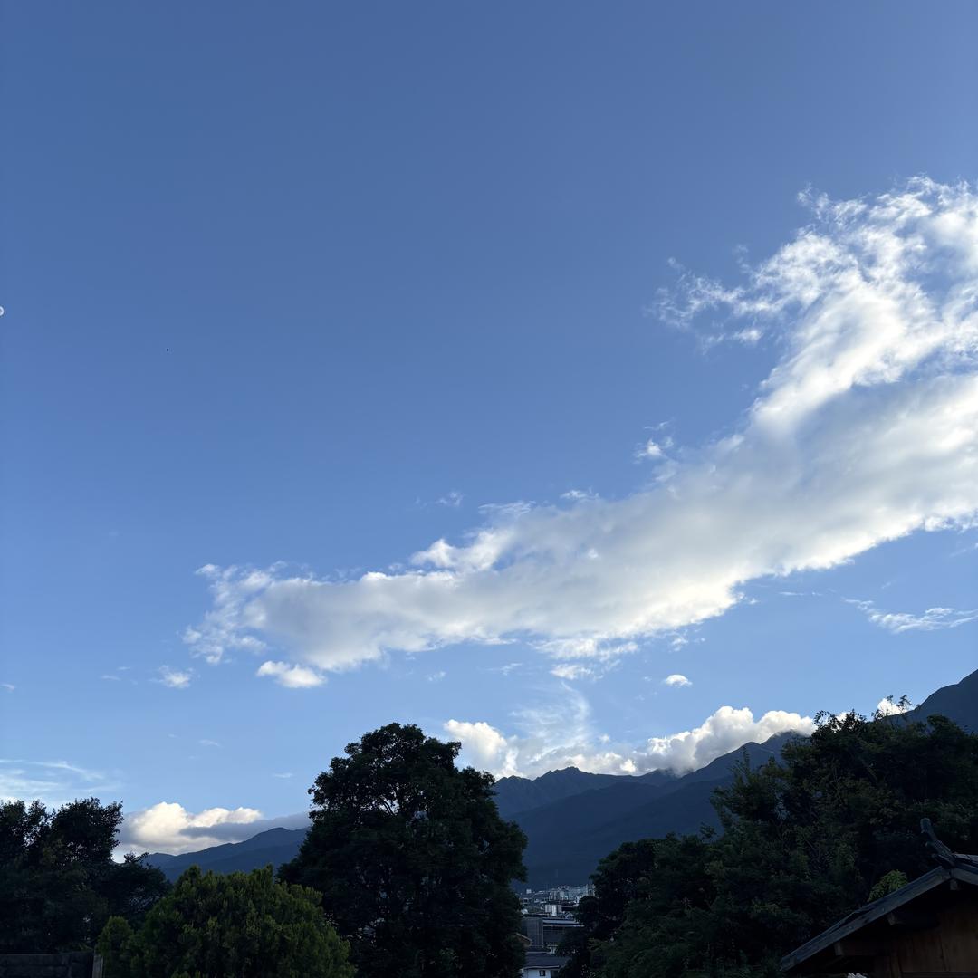 👀。