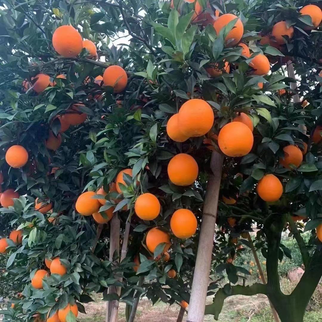 一起嗨起来