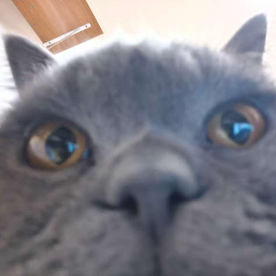 陌人
