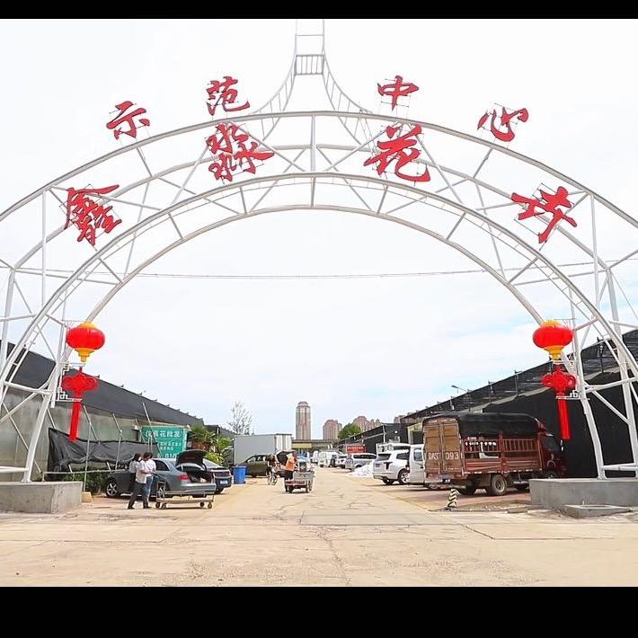 鑫淼花卉市场