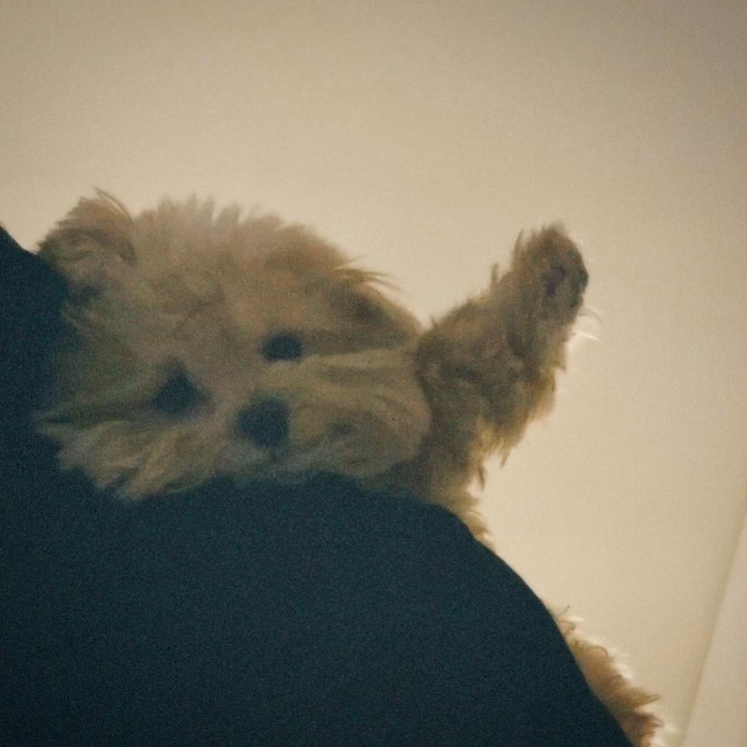 我吃完饭必须点一根