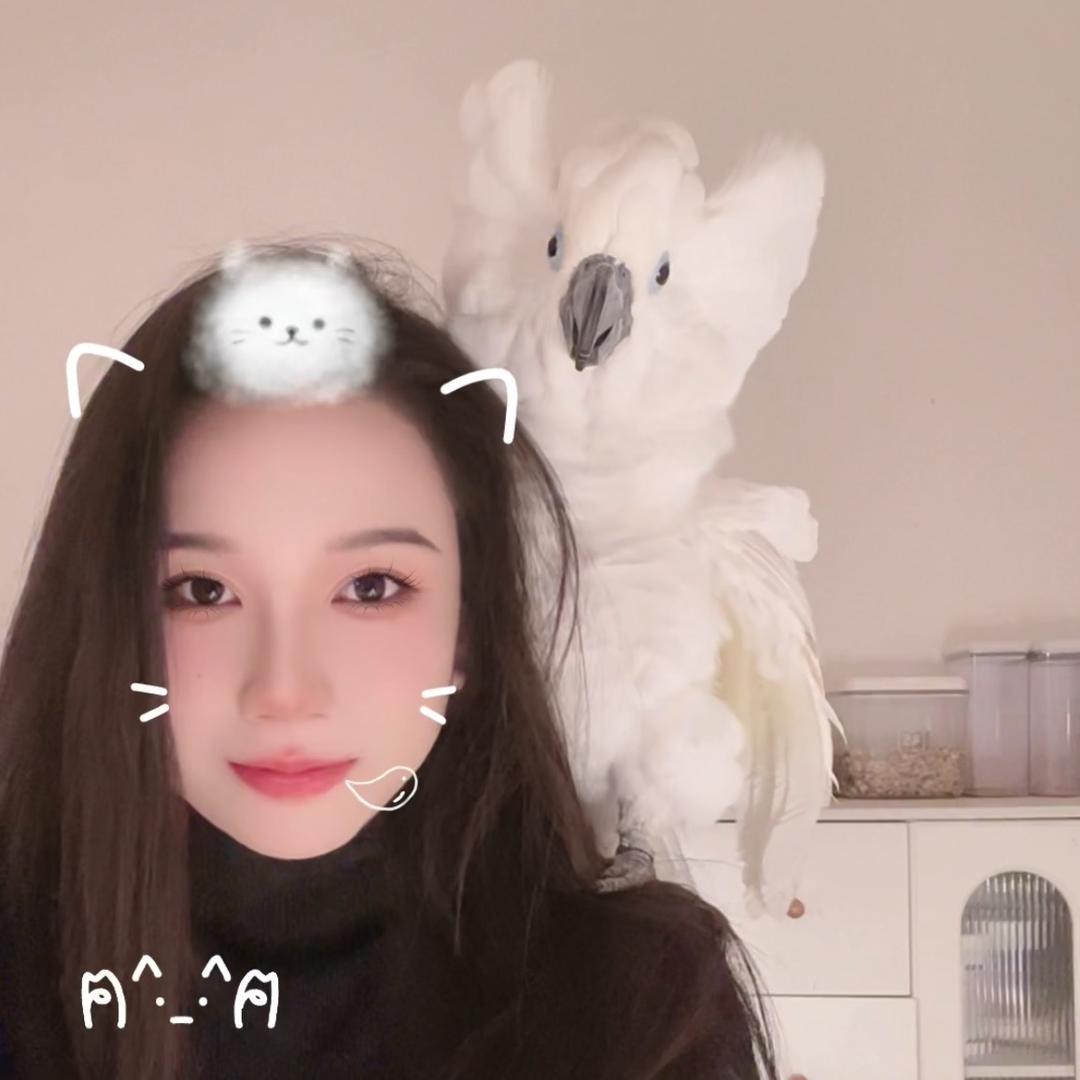 晚晚鹦鹉