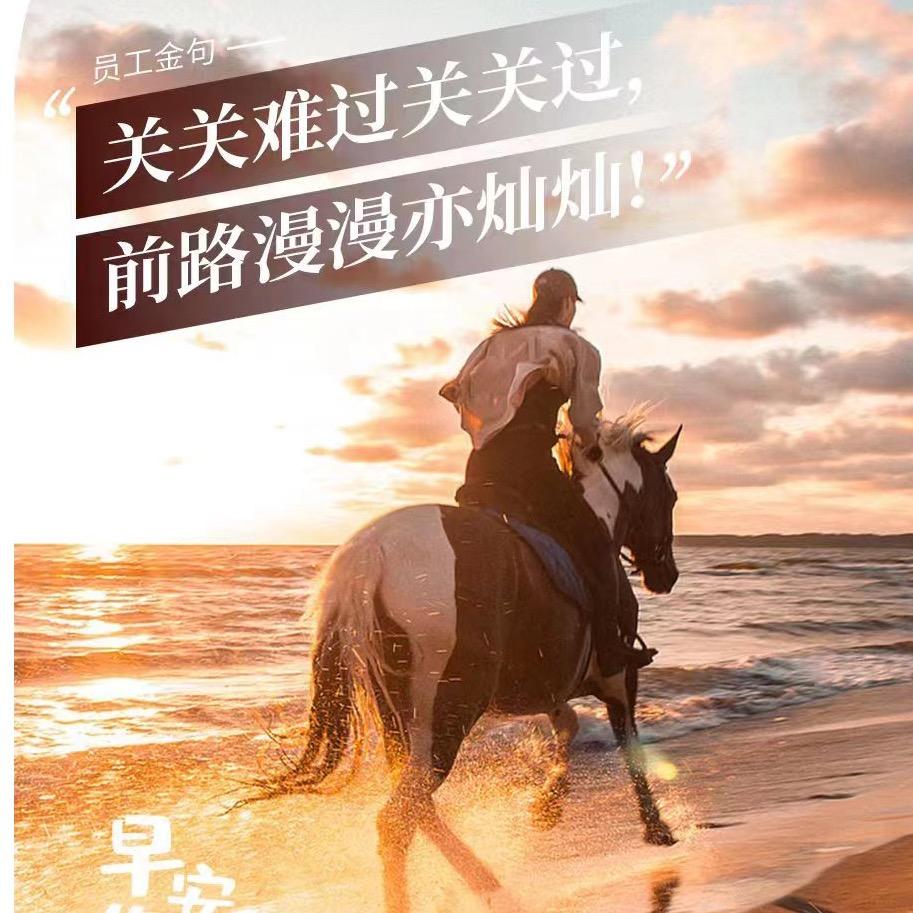 仰望
