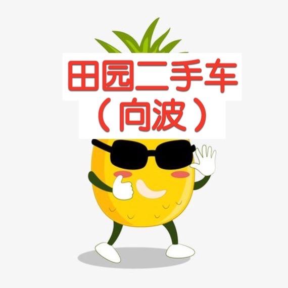 田园二手车（向波）