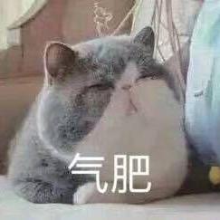 取名太难了叭头像