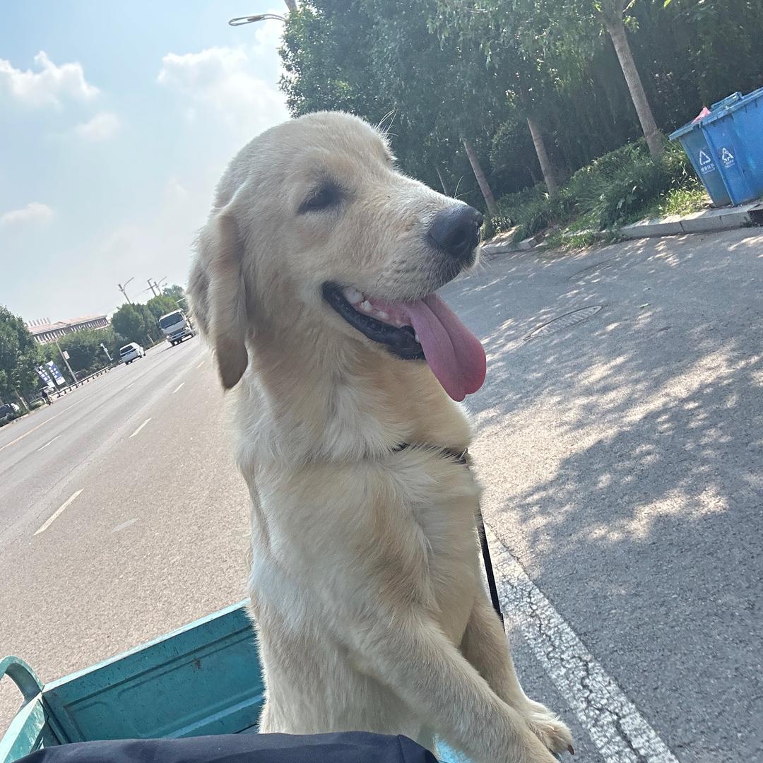 迷死她、迈迪🐶