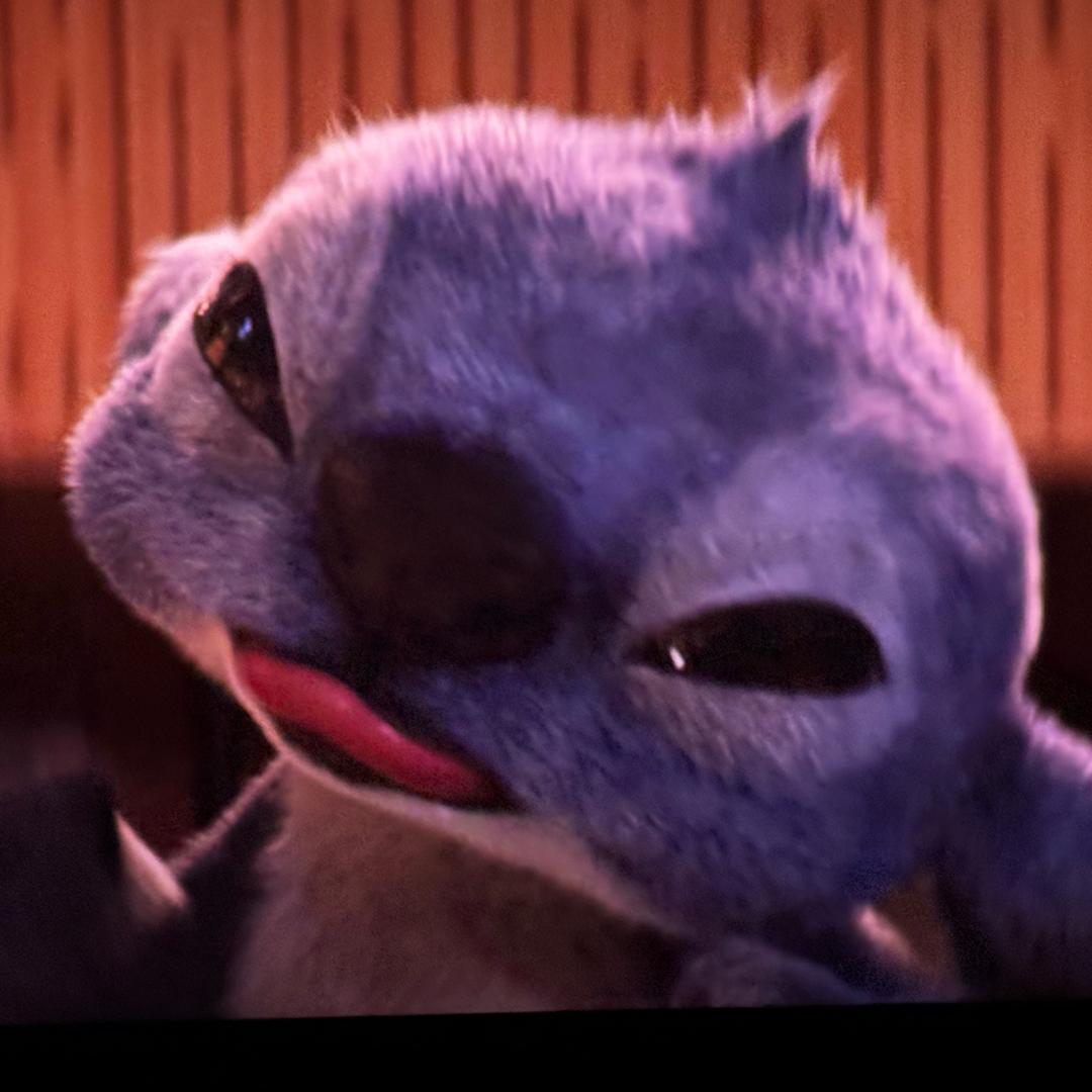 除了抓羊，啥都会