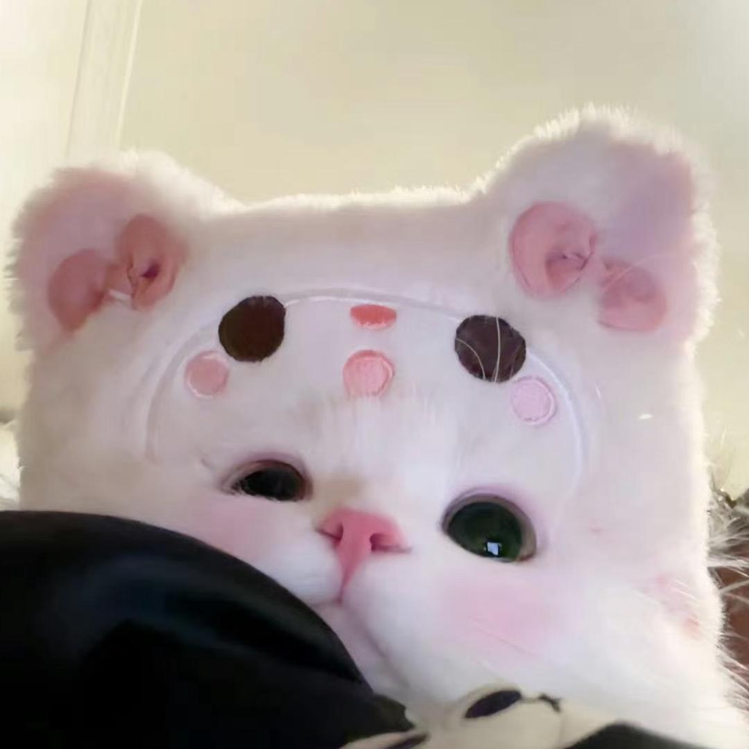 AshashAsh