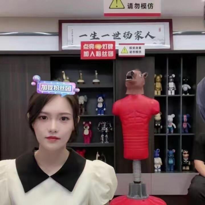 疯狂大小杨（三只羊授权）