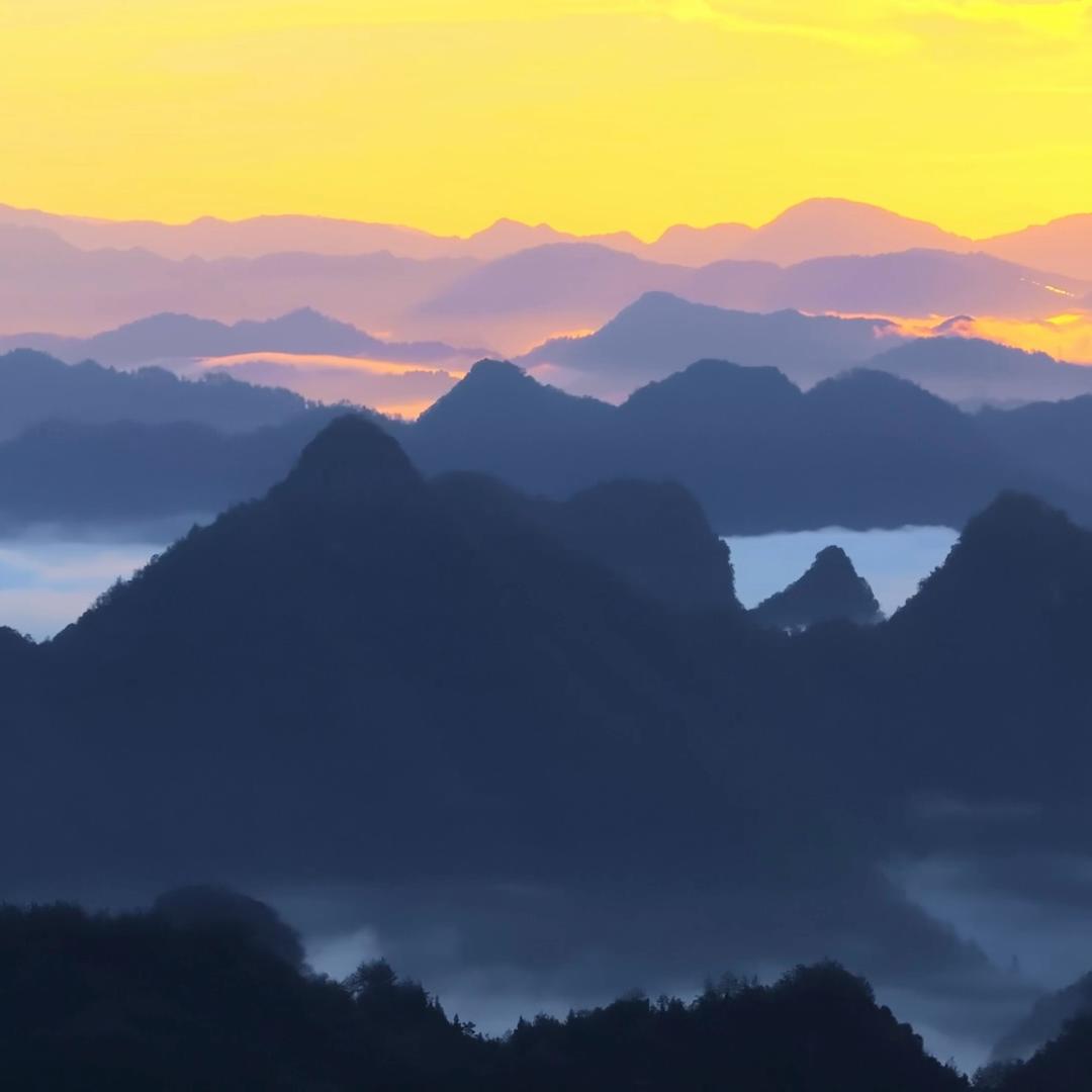 万马归朝·茶咖