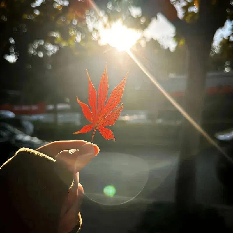 飞越莹河