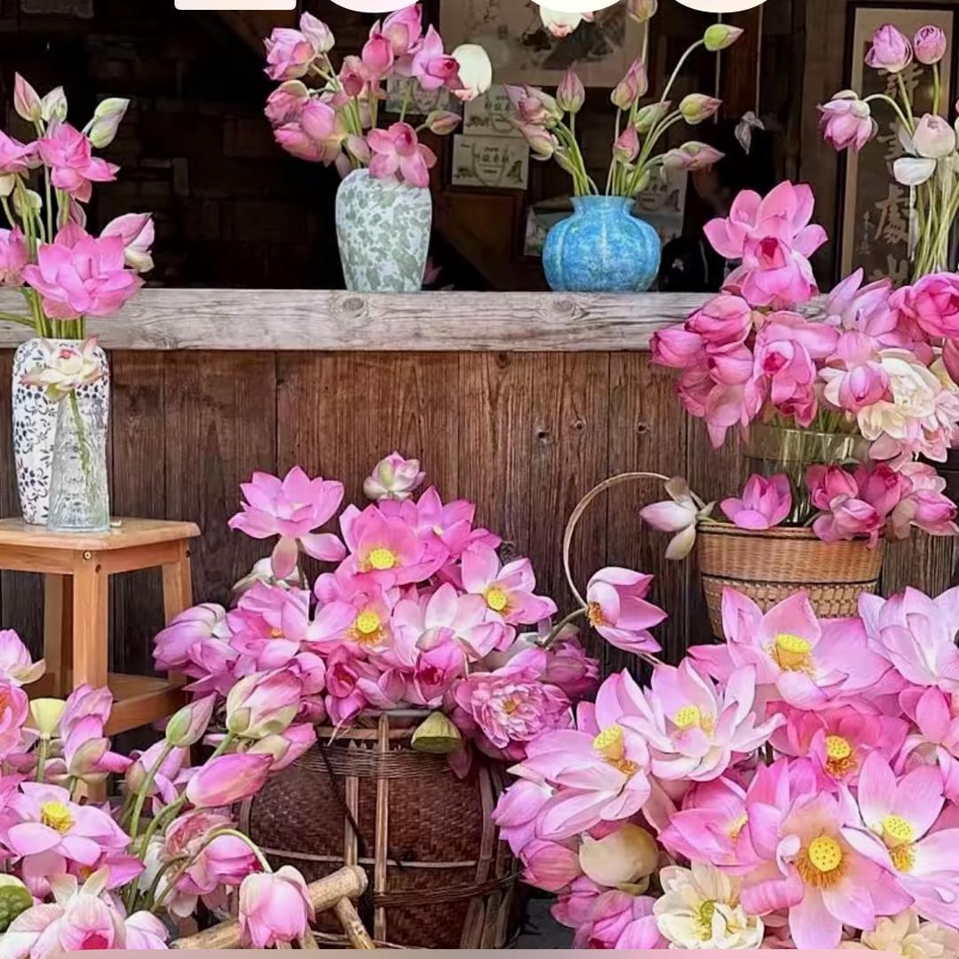 幼儿园的高材生