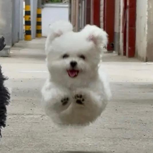 一点儿小儿