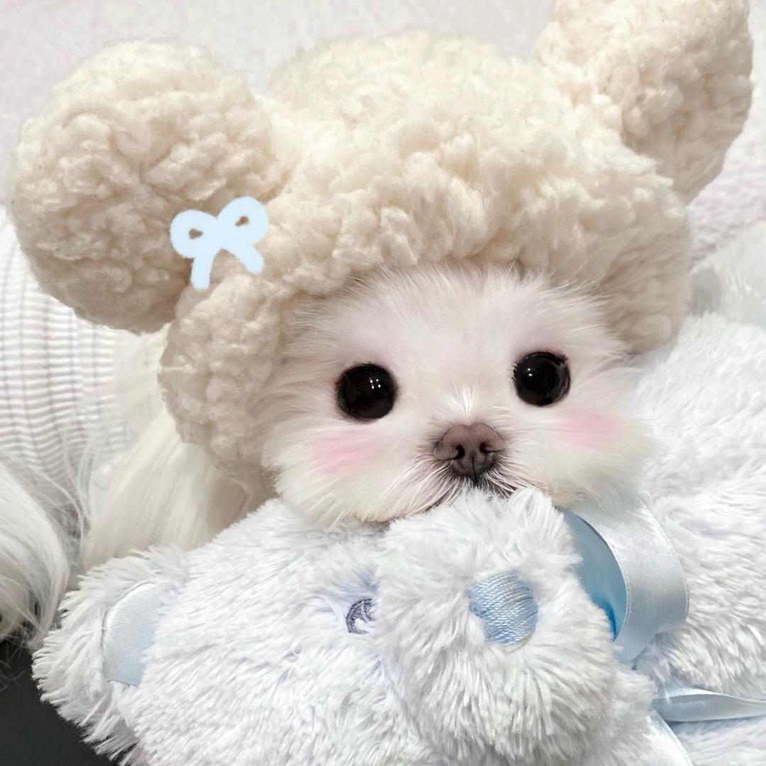 泡泡🫧（三角洲）