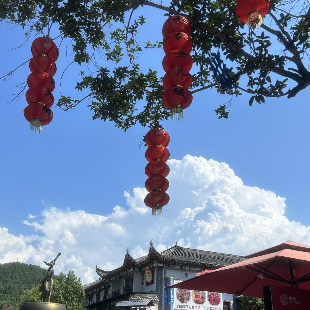 西红柿旅行