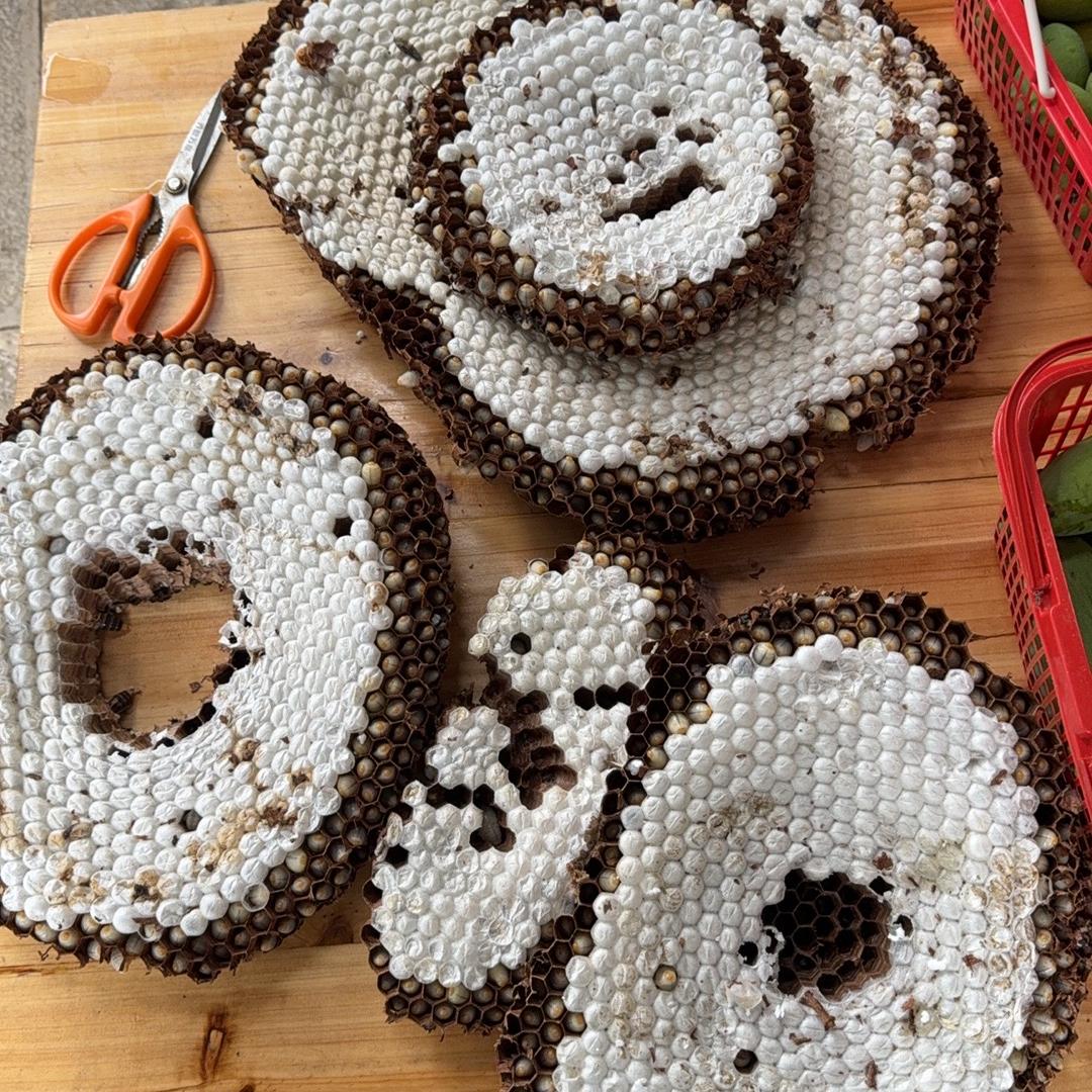 册亨亿源三农的头像