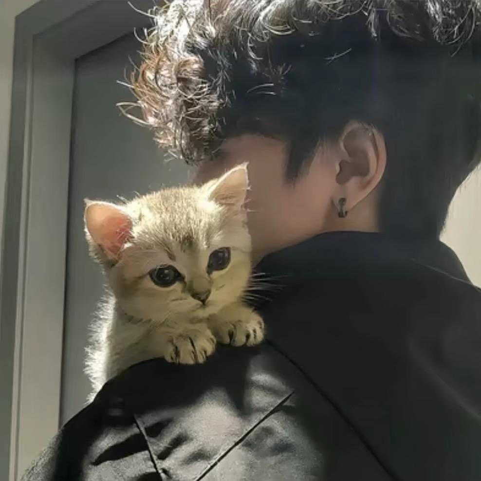 不吃鱼