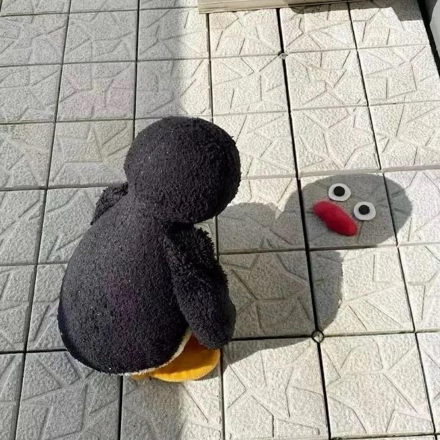 傲