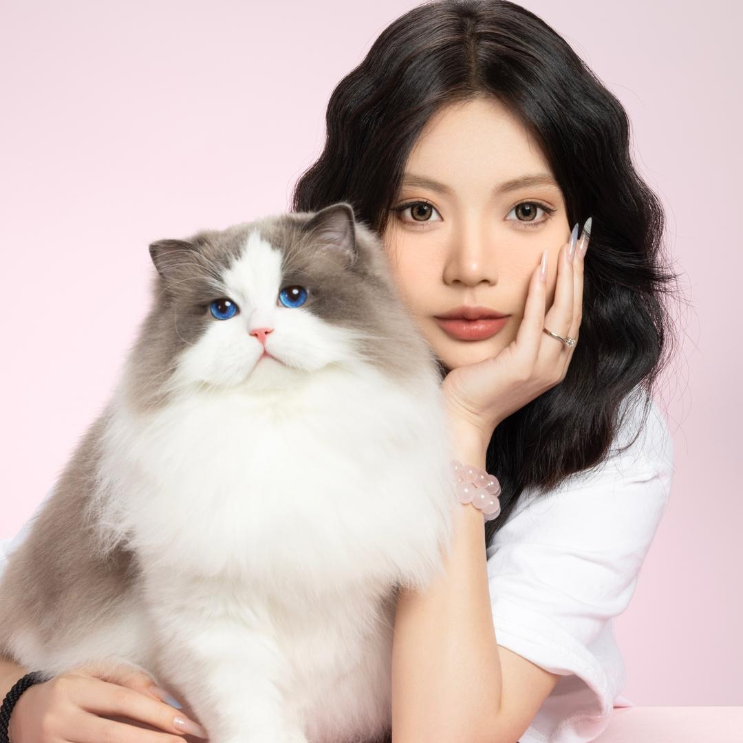 张宝彤布偶猫舍·小琳