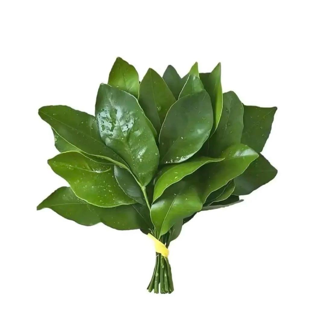 欣.