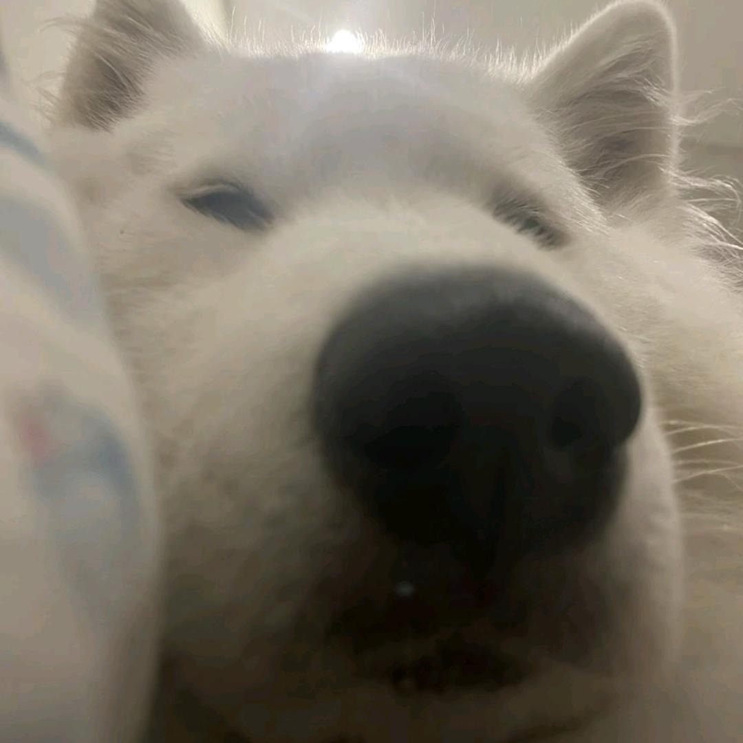 言覃