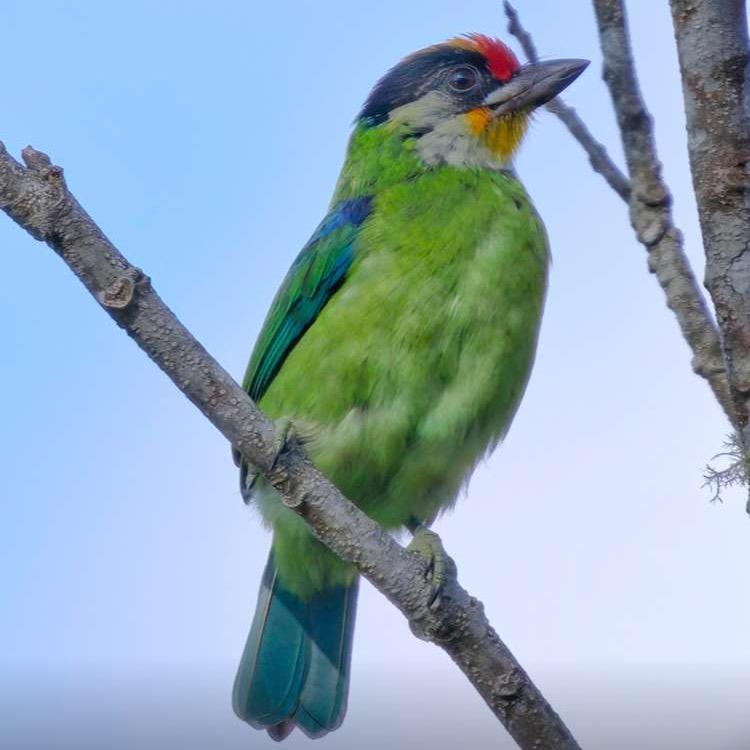 🌿静静地听🎶🎵