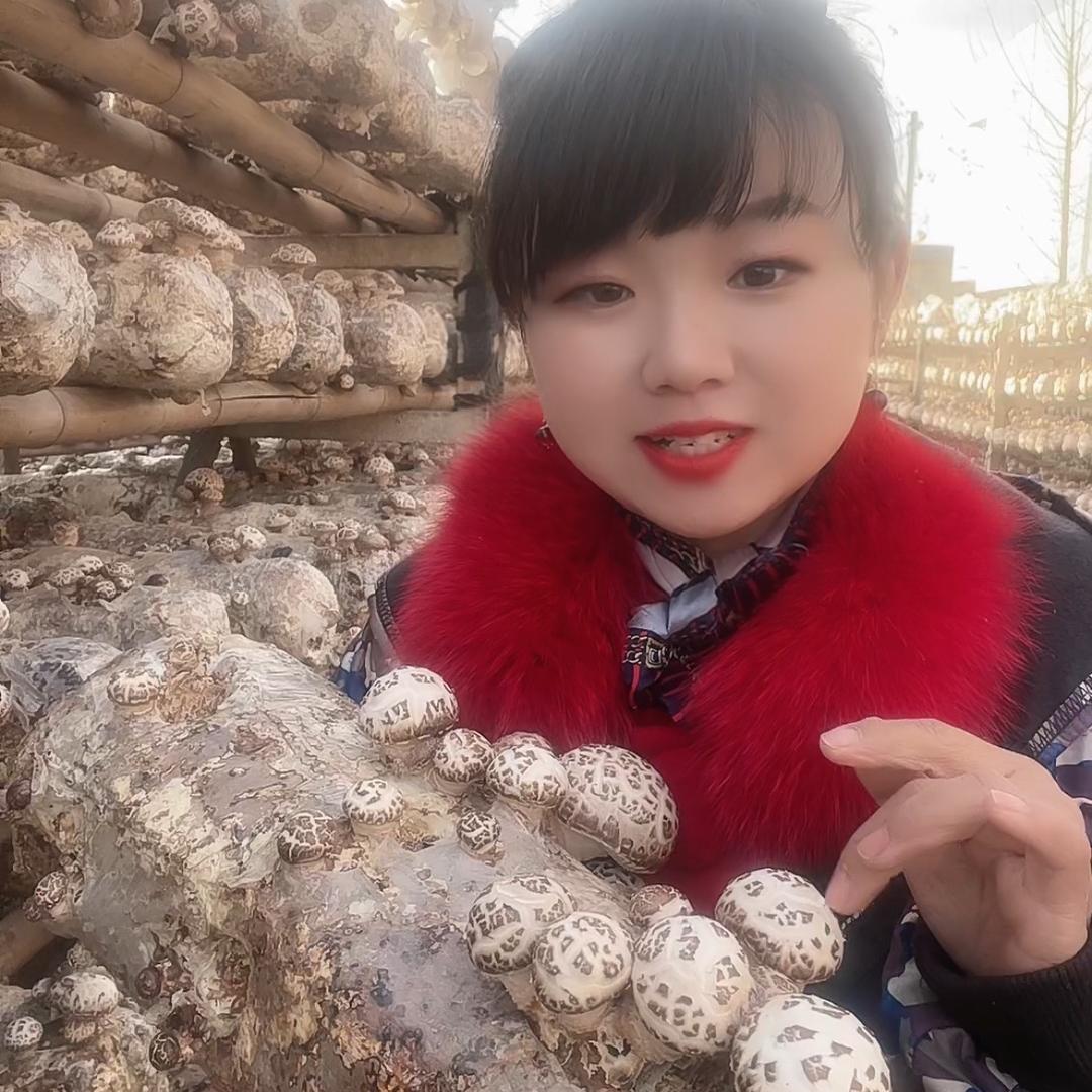农村俊菇娘特产