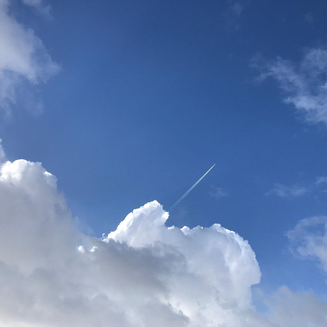 惑