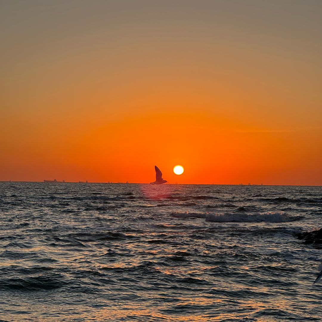 福禄寿喜财🀄️