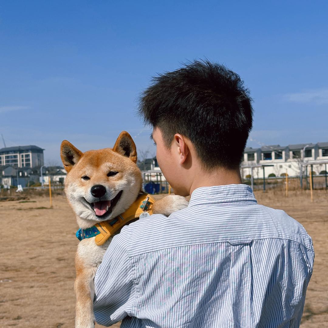 小鹿的柴