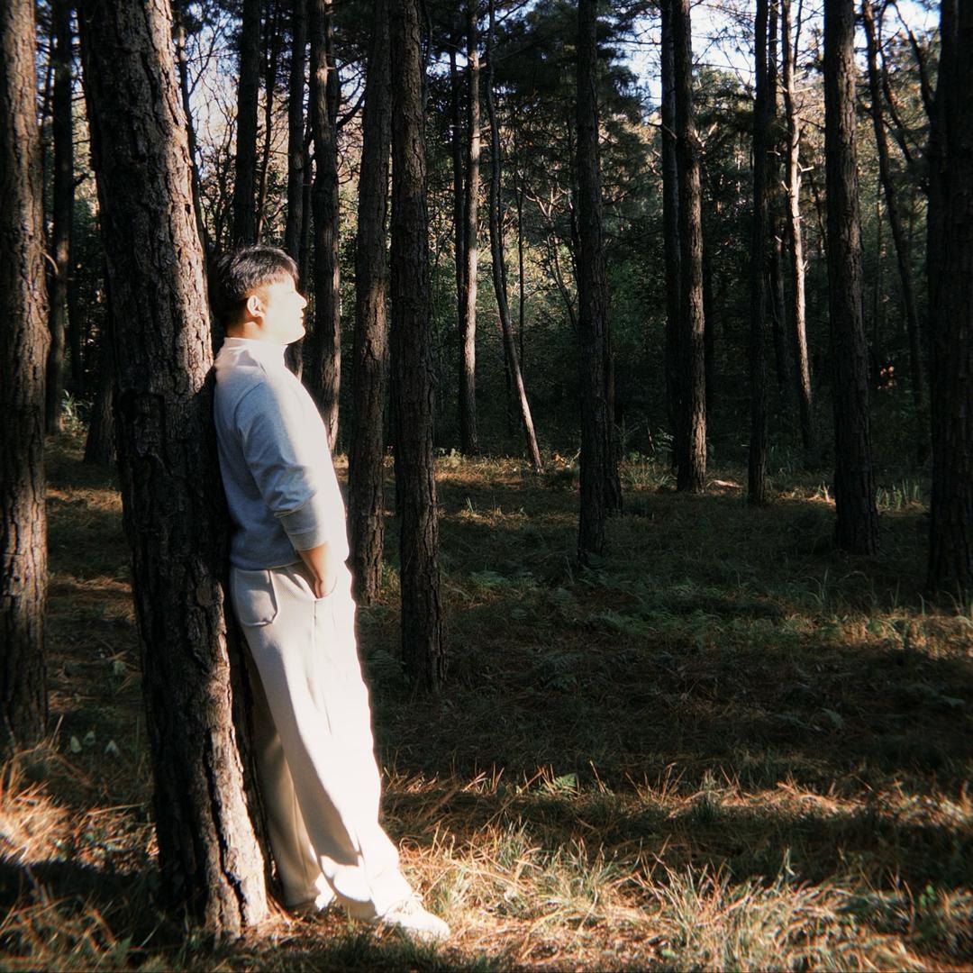 @老实巴“焦”🍌