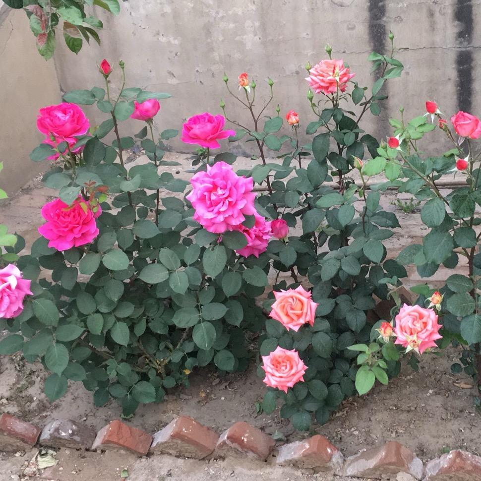 芬建职