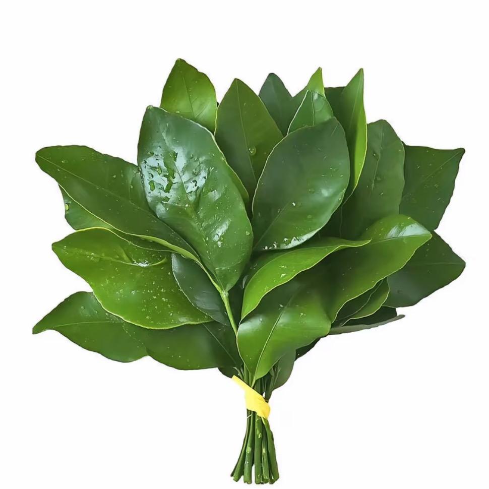 栗子晚安