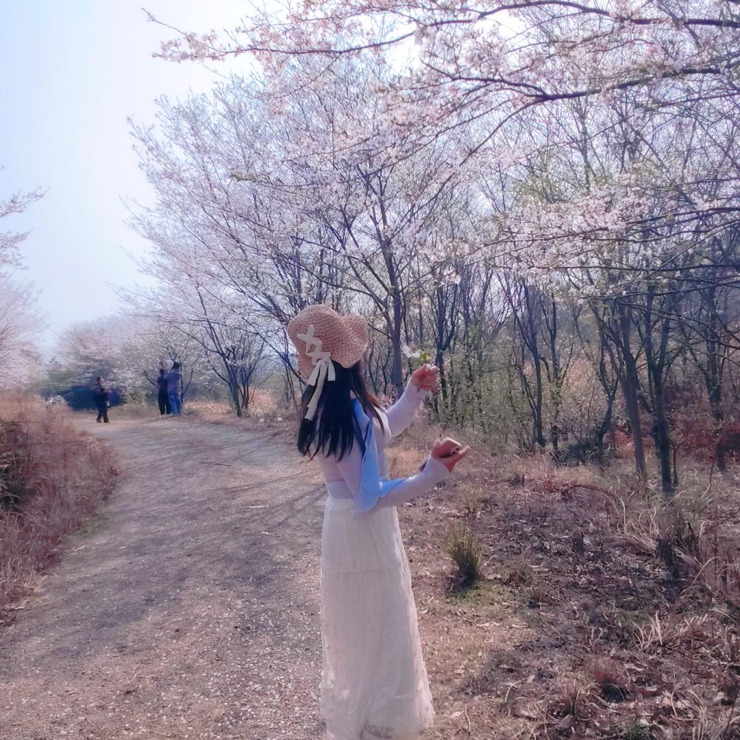 宿松回收黄金小石