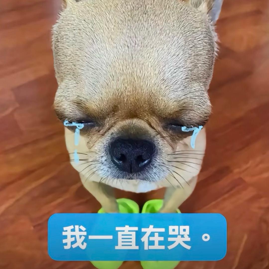 纯情芥末章鱼