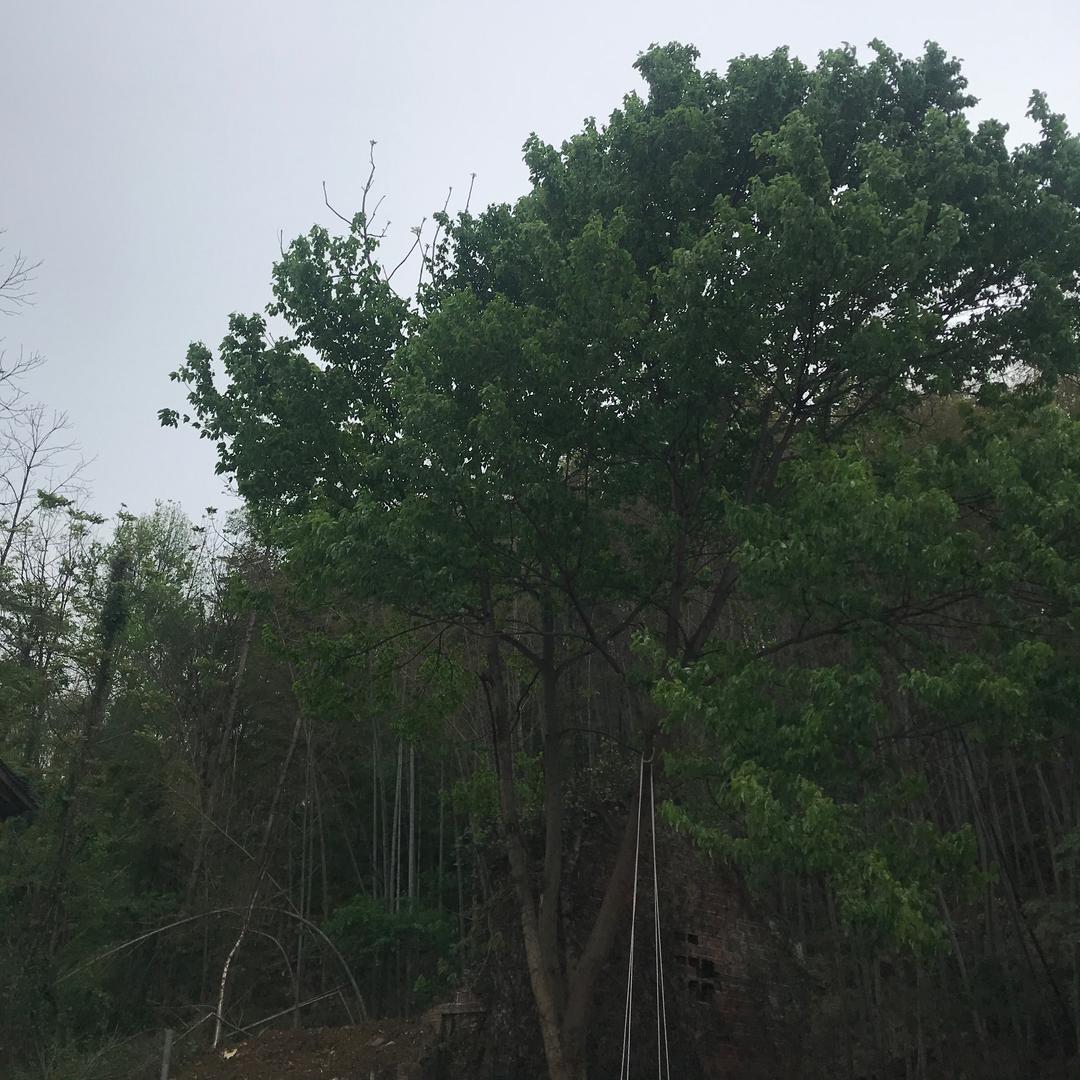 小爱同学