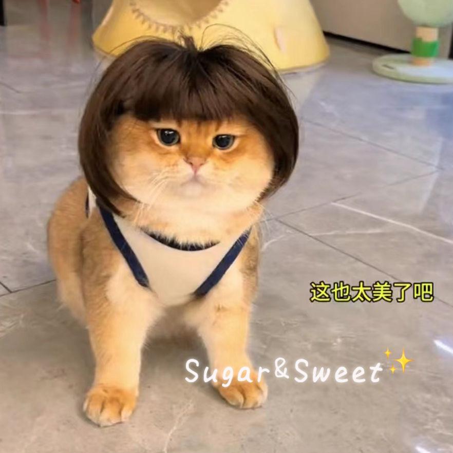 咪宝🎀