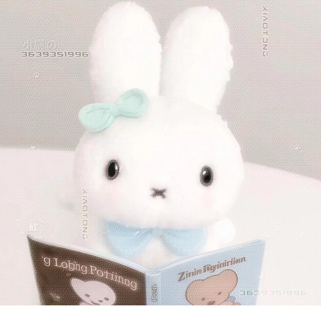 糯叽一只兔