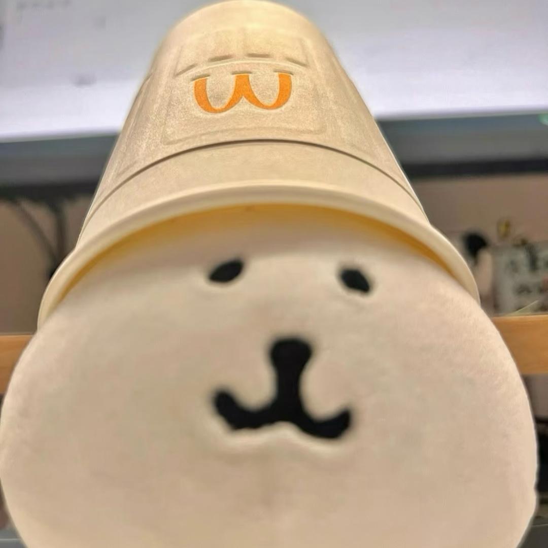 橙子耶耶