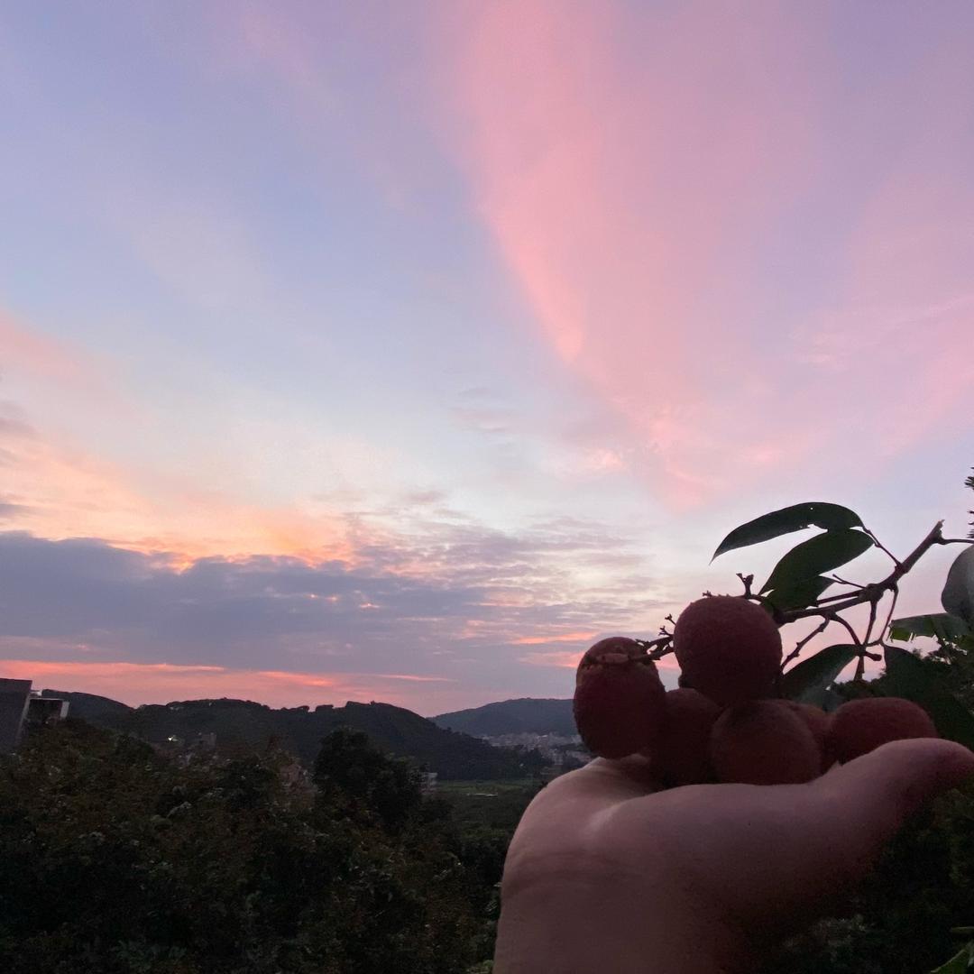 意眠