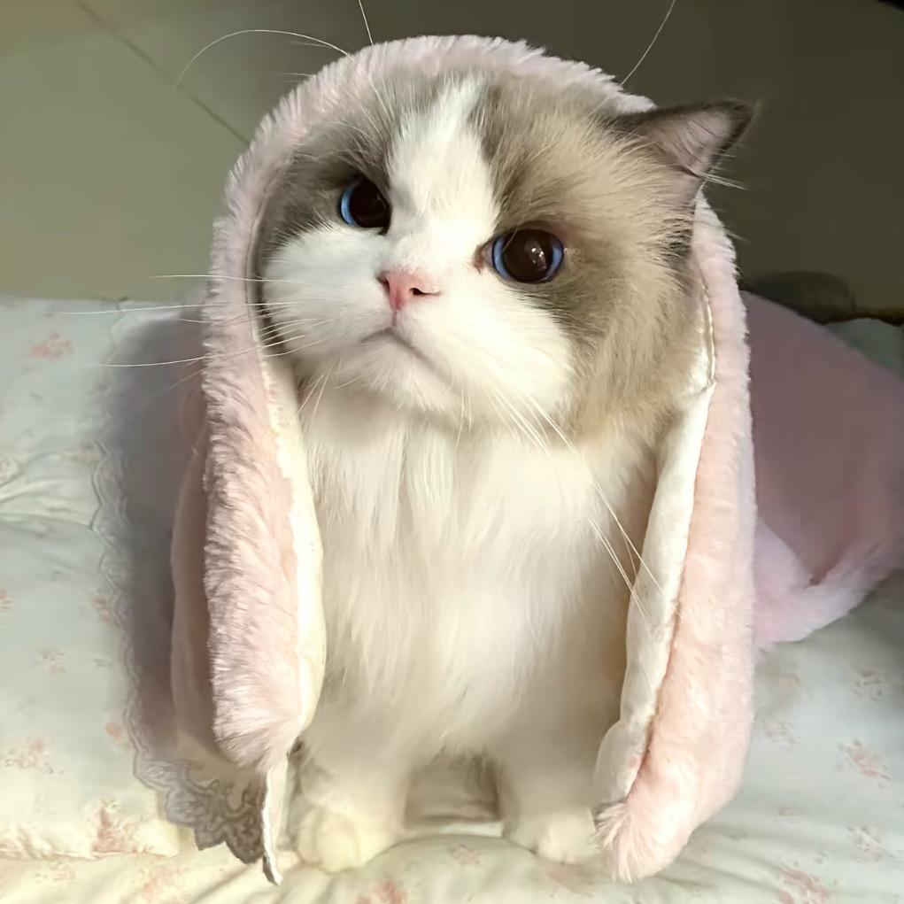 你让让我怎么了！