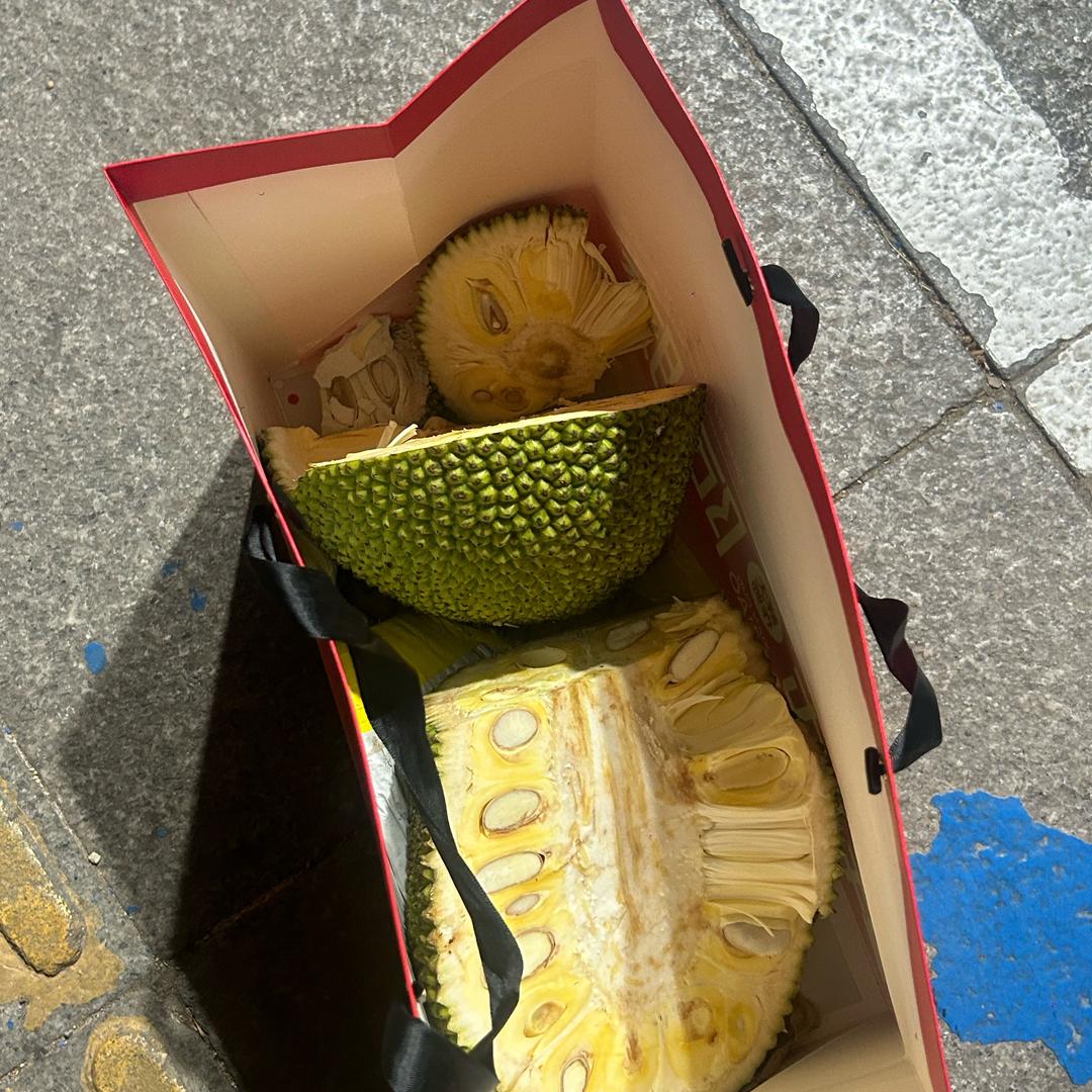 不熟的菠萝蜜