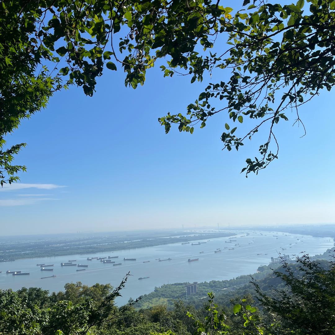 柚酸柚甜