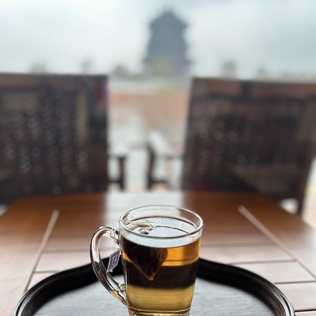 茶包象象🐘