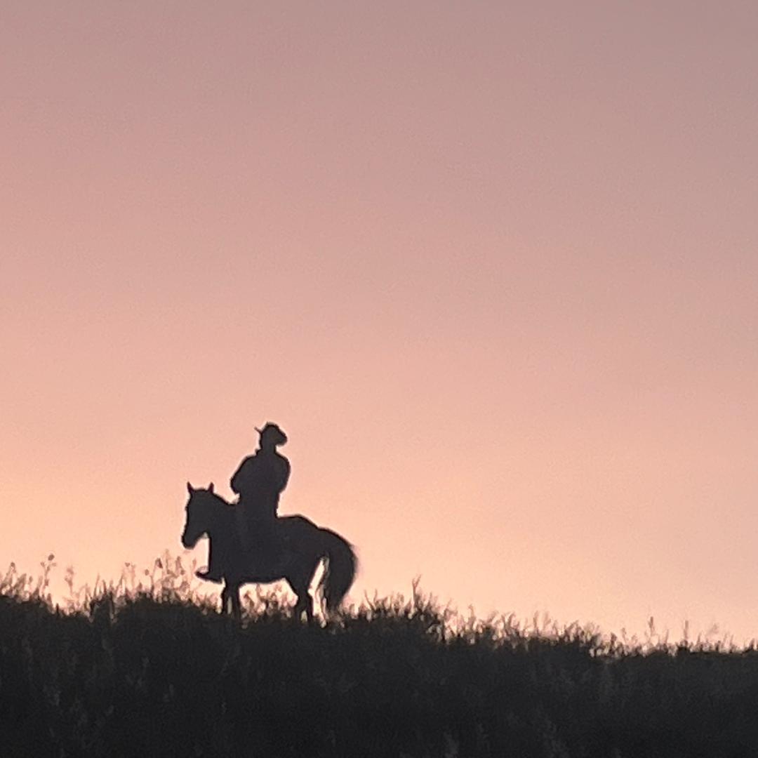 马背上的巴克（喀纳斯骑马）