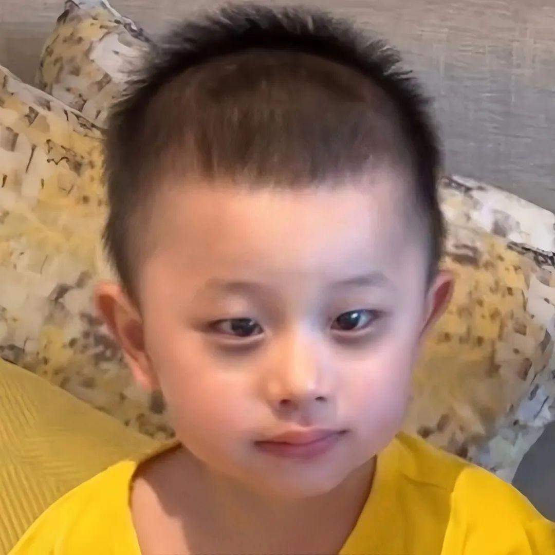 西红柿炖它麻头