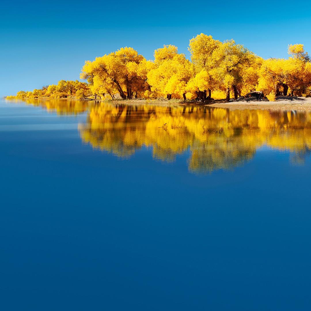 随心随意随缘随性